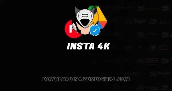 INSTA 4K download